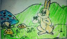 西瓜船看图写话小白兔