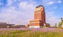 [开学征文]小草的叹息_600字