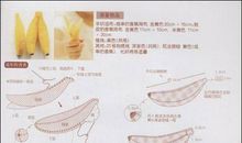 初一状物作文：支柱_550字