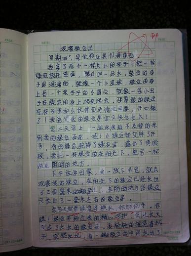 四年级的书论文推荐一个好地方