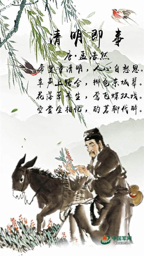 繁花落尽·清明不清明_2000字