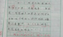关于鸟的作文：我和小鸟_750字