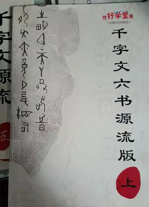 法律_1000字