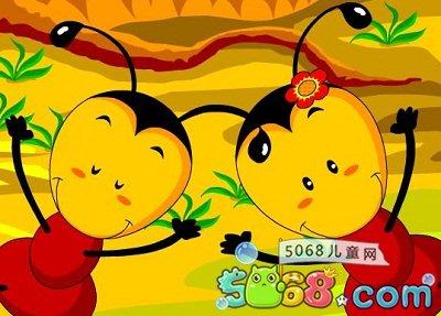 顽强的小蚂蚁