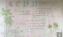 保护环境，美化未来_800字