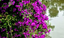 卷八·治生从宦