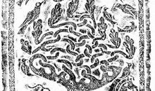 卷七·姜嫄简狄