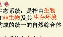 《狼和鹿》续写——凯巴伯森林生态失去平衡后_400字
