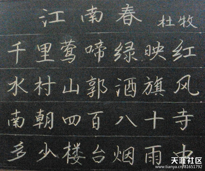 用笔粉笔_350字