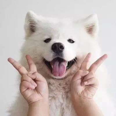 陌生人笑