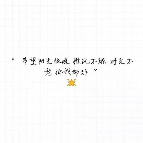 阳光被枪杀，我是