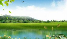 谁把春天带来了_550字