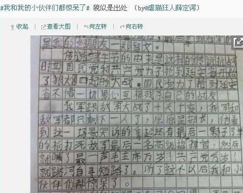 我的小伴侣成分300字优秀的三年级