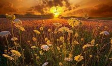 卷十四·士之处世