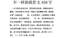 不一样的秋_450字
