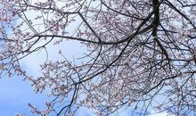 高一抒情散文：夏天的一场雨_1200字