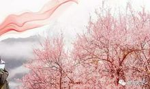 高一抒情散文：谁来陪我看桃花_1500字