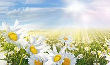 高一抒情散文：让自己的心中充满阳光_650字