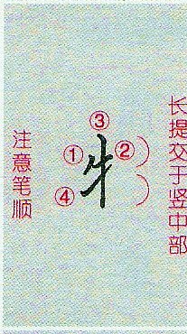 最美丽的手_450字