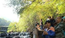 高一抒情散文：母亲，请让我与你同行_750字