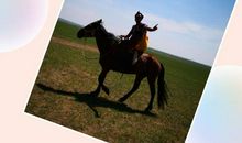 一路向北_1500字