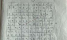 想象作文:我有一个梦