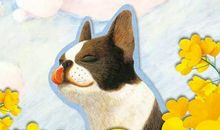 读《坚强的小蜗牛》有感