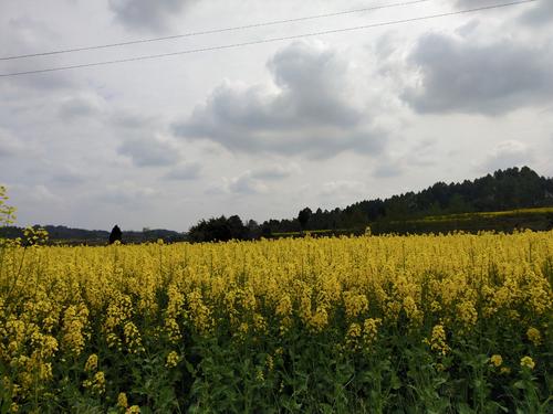 土地礼物