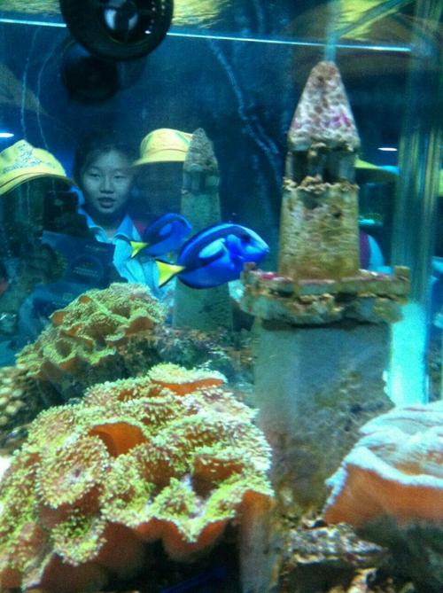 有趣的海洋世界