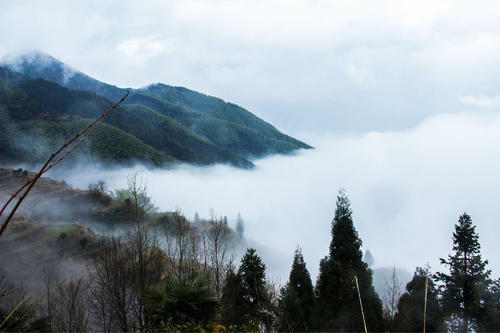 山脉深处的对话_1200字
