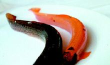 泥鳅的外形特点的作文