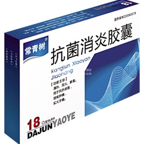 常绿树_550字
