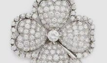 幸运草的魔力_550字