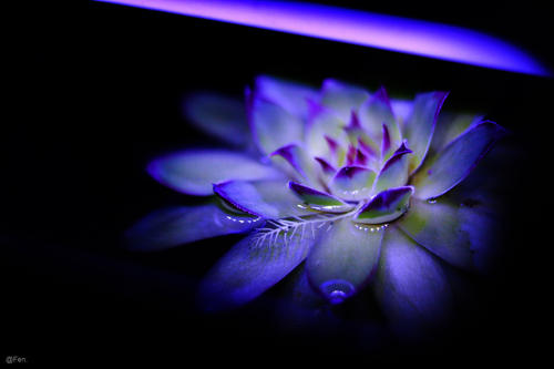 夜深风不是安静_1500字