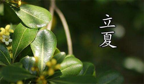 丽霞节_500字