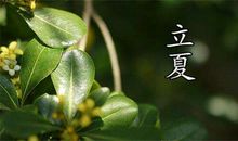立夏节_500字