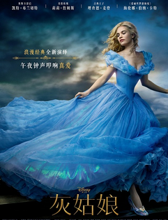 我成为灰姑娘