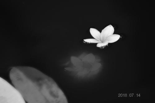 土地，艰难_800字