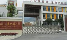 写给映秀小学同学们的一封信