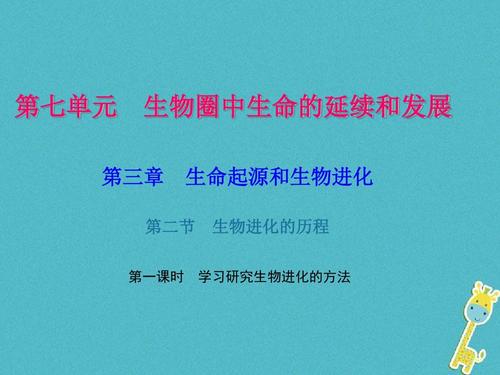 在线学习体验