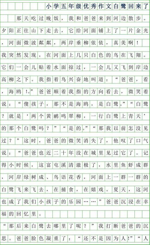 写作写作的白色酒店