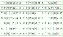白鹭仿写作文