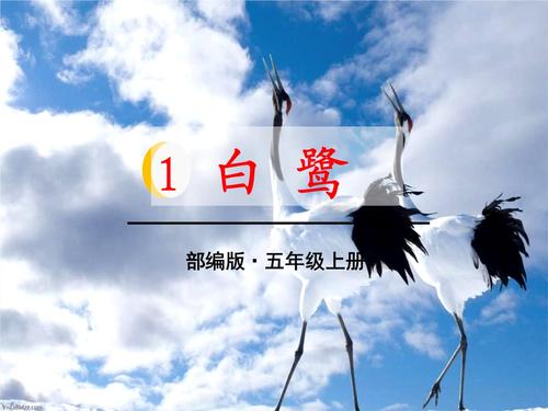 白鹭第自行车