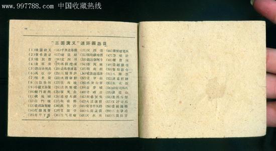 [2013年夏季论文]我最喜欢的书 - “三国浪漫”_1000字