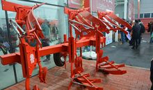 青岛的客人_350字