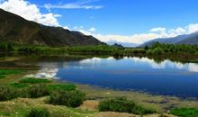 拐弯处的美丽_550字