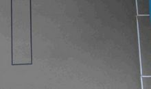 卷十一·谊向触讳