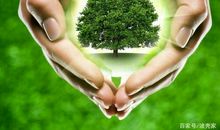 [2013暑期征文]向前一步的勇气——读《海的女儿》有感_650字