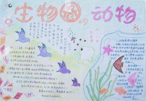 圆自信的帆_500字