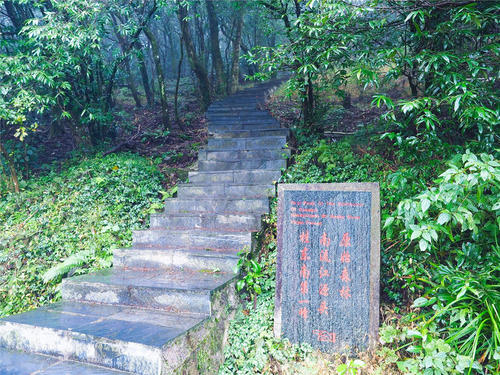 母亲爱，无尽的来源_650字